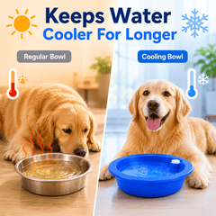 Freeze Activated Dog & Cat Cooling Bowl - Perfect for Summers