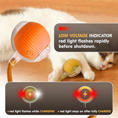 Pet Toy Ball - Sale⚡