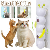 Smart Worm Toy - Sale ✨