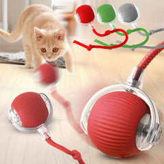 Pet Toy Ball - Sale⚡