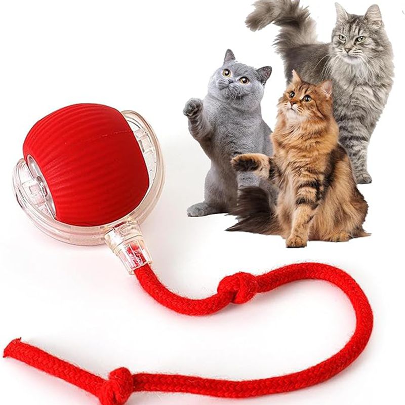Pet Toy Ball - Sale⚡