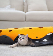 Cat Tunnel Toy