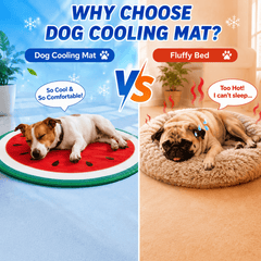 Self-Cooling Gel Pet Mat (60cm - Melon)